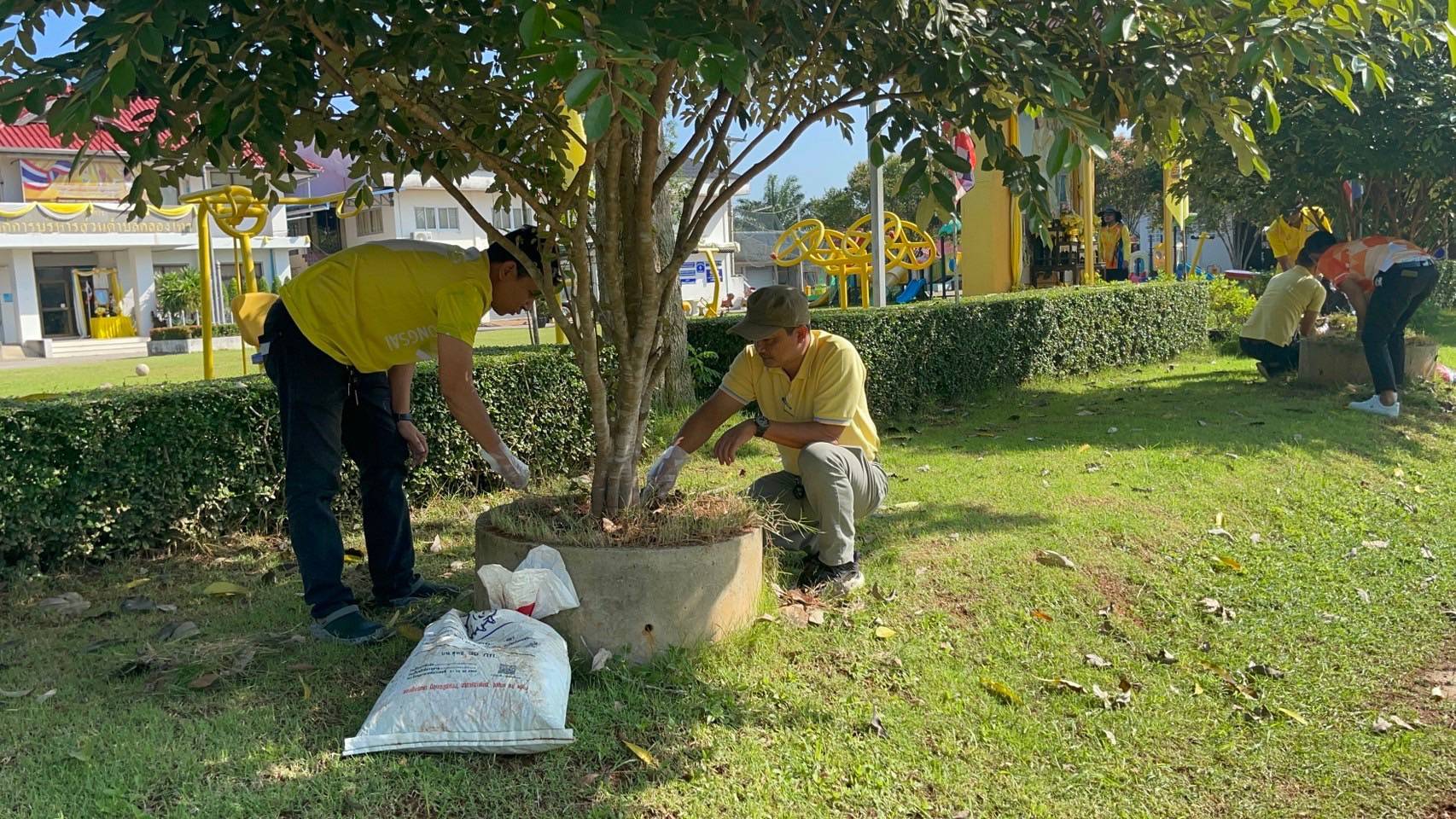 วันพฤหัสบดีที่ 31 ตุลาคม 2567
องค์การบริหารส่วนตำบลคลองไทร ร่วมกิจกรรมบำรุงรักษาต้นไม้ ด้วยการพรวนดิน ใส่ปุ๋ย  กำจัดวัชพืช โรค แมลง และรดน้ำต้นไม้ ในพื้นที่ที่ได้ปลูกต้นไม้ตามโครงการปลูกป่าเพื่ออนุรักษ์ ฟื้นฟู ป่าต้นน้ำ ป่าชายเลน และป้องกันไฟป่า ซึ่งเป็นวันคล้ายวันพระราชสมภพของสมเด็จพระศรีนครินทราบรมราชชนนีเป็นวันบำรุงรักษาต้นไม้แห่งชาติ ประจำปี พ.ศ. 2567🌳🌳
🌳ณ : องค์การบริหารส่วนตำบลคลองไทร
#องค์การบริหารส่วนตำบลคลองไทร
📍 Website : https://klongsai-surat.go.th
📍 Facebook : องค์การบริหารส่วนตำบลคลองไทรสุราษฎร์ธานี
📍 Line : https://lin.ee/aTP5RS4